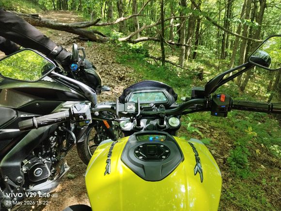BAJAJ DOMİNAR 250 D
