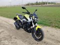 BAJAJ DOMİNAR 250 D