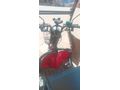 Sahibinden Kral Motor KR-06