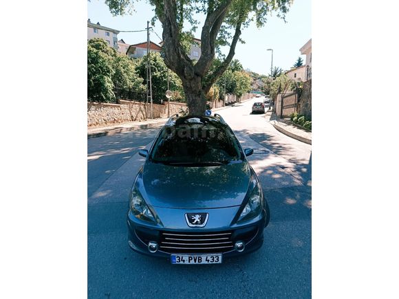 110 LUK BİR PARÇA BOYALI