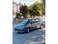 110 LUK BİR PARÇA BOYALI