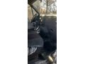 Sahibinden Ford Transit 330 S 2003 Model