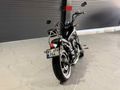 KONURALP OTO 2026 ÇIKIŞLI REGAL RAPTOR DAYTONA 250 S