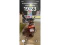 Sahibinden Honda PCX125 