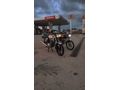 Sahibinden Kuba Çita 100 R