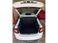 Sahibinden Skoda Rapid 1.4 TDI GreenTec Style 2017 Model 