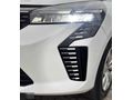 EFE OTOMOTİVDEN HATASIZ CLİO