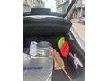 Sahibinden Skoda SuperB 1.4 TSI Active 2017 Model  185.000 km Beyaz