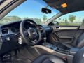 HIZCAR'DAN DEĞİŞENSİZ AUDİ A4