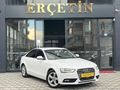 'ERÇETİN'2015 AUDI A4 2.0TDI 190HP-225.000KM-HATASIZ