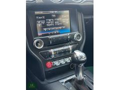 LK CAR MUSTANG 5.0 V8 GT 350R CHASSIS