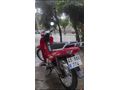 Sahibinden Ramzey JC 100-9B