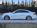 2014 MODEL MERCEDES E 250 COUPE SDF BEYAZ İÇ KIRMIZI HATASIZ