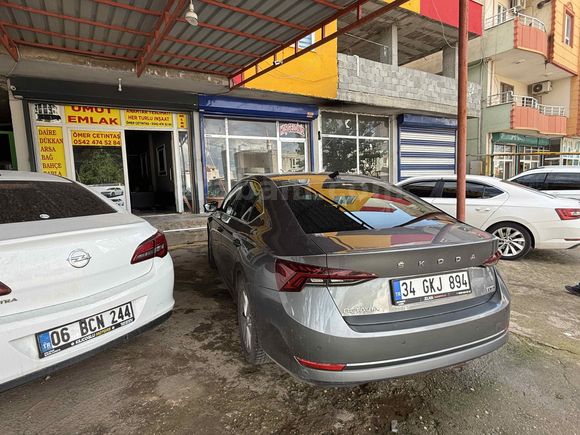 Sahibinden Skoda Octavia 1.0 e-Tec Premium 2023 Model  117.000 km Gri
