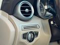 ÖZEL SERİ BAKIMLI DIŞ AMG+EXCLUSİVE EMİNEVİM FUZULEVİM