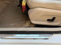 ÖZEL SERİ BAKIMLI DIŞ AMG+EXCLUSİVE EMİNEVİM FUZULEVİM