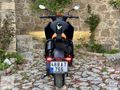 BMW CE-04 Dynamic + Avantgarde Full Opsiyonlu