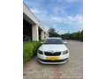 2013 MODEL - SKODA OCTAVIA - DÜŞÜK KM - MASRAFSIZ!!!