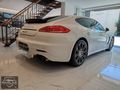 SET MOTORS 2010 PORSHE PANAMERA 4S