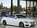 C-CABRİO AMG İÇİ TABA AİRSCARF ELK SİNEKLİKLER 9GTRONİC HAFIZA