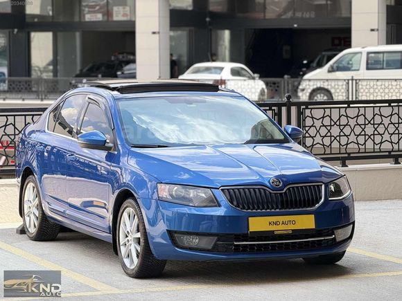 KND AUTO DAN LASNMAN RENK CAM TAVAN