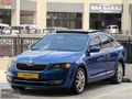 KND AUTO DAN LASNMAN RENK CAM TAVAN