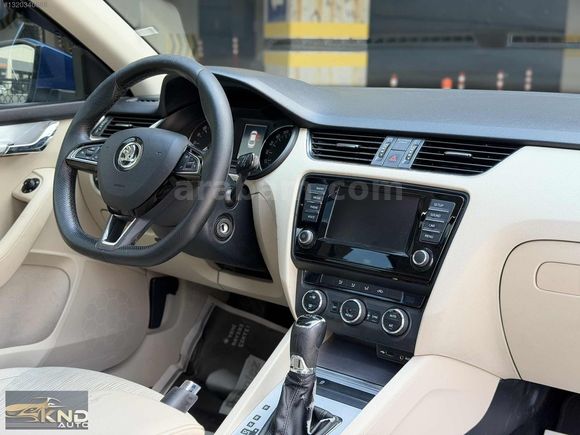 KND AUTO DAN LASNMAN RENK CAM TAVAN