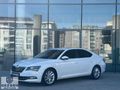GEZGEN'DEN 2016 SUPERB PRESTİGE ISITMA+ELK BAGAJ+PERDE+DERİ+FULL