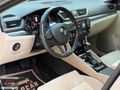 ALPCAN AUTO'DAN SUPERB 1.6 TDI DSG GreenTec Prestige DSG