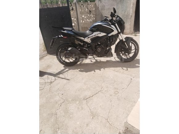 kelepir dominar