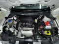 |DORUK MOTORS| 2012 MODEL SEAT IBIZA DEĞİŞENSİZ YENİ KASA