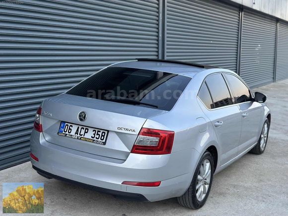 CAM TAVAN İÇİ BEJ STAYLA CR