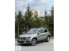 AHMET ARSLANDAN 2014 CAM TAVAN LANSMAN RENK TIGUAN