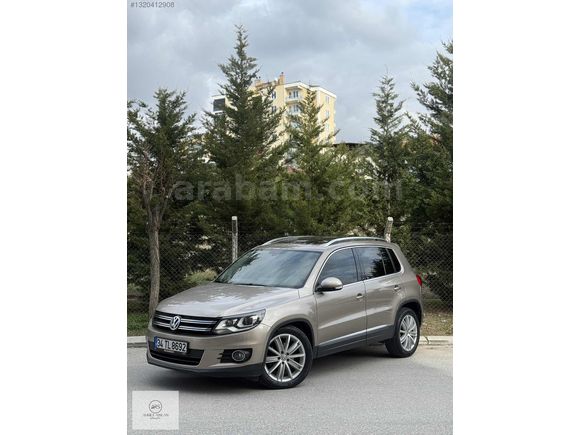 AHMET ARSLANDAN 2014 CAM TAVAN LANSMAN RENK TIGUAN