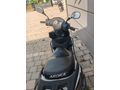 Sahibinden Arora Freedom 50