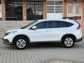 TAMERHAN OTOMOTİV DEN