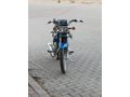 Sahibinden Kuba Çita 50 R