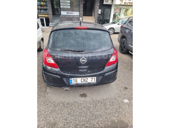 trnin en dolusu