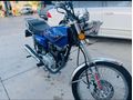 Sahibinden Kuba Çita 50 R Pro