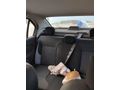 Sahibinden Renault Symbol 1.5 dCi Joy 2013 Model yakıtını koy git masrafsız