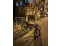 Sahibinden Kuba Çita 50 R 