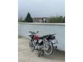 Sahibinden Kuba Çita 50 R 