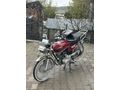 Sahibinden Kuba Çita 50 R 