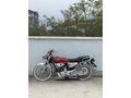 Sahibinden Kuba Çita 50 R 