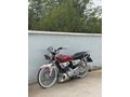 Sahibinden Kuba Çita 50 R 