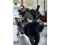 ADA GROUP'TAN BORUSAN ÇIKIŞLI 0KM BMW M PAKET S1000RR .
