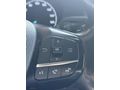 2023 MODEL FORD TRANSİT 350 L 11M3 UPGRADE SOĞUTUCU+FRİGOLU
