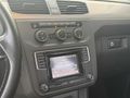 TEMİZ MASRAFSIZ CADDY