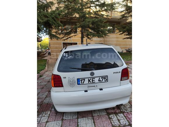 TemiZ Polo Arayana