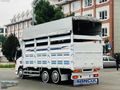 2015 ISUZU NPR 3 D 10 TEKER AĞŞAPKASA Lİ